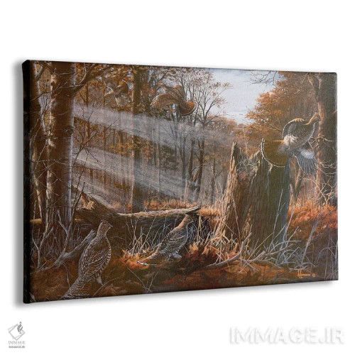 تابلو برنده بزرگ خروس وحشی اثر اندرسون آرت (گروه هنری) - نمای پرسپکتیو محصول