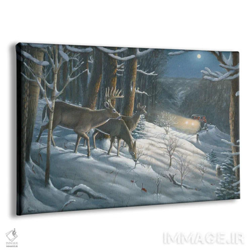 تابلو گوزن دمسفید دوران قدیم اثر اندرسون آرت (گروه هنری) - نمای پرسپکتیو محصول