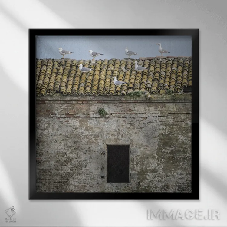 تابلو دلتا I اثر آلساندرو پاسرینی - نمای قابدار مشکی