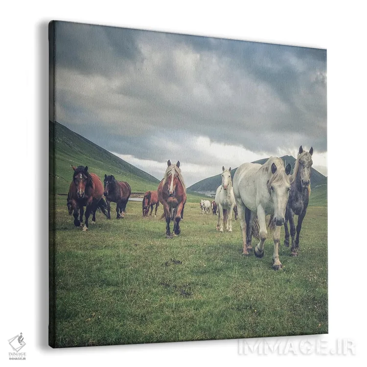 تابلو تبت کوچک VI اثر آلساندرو پاسرینی - نمای پرسپکتیو محصول