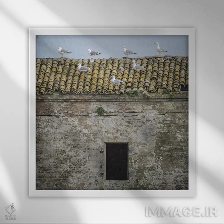 تابلو دلتا I اثر آلساندرو پاسرینی - نمای قابدار سفید