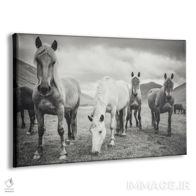 تابلو تبت کوچک VIII اثر آلساندرو پاسرینی - نمای پرسپکتیو محصول