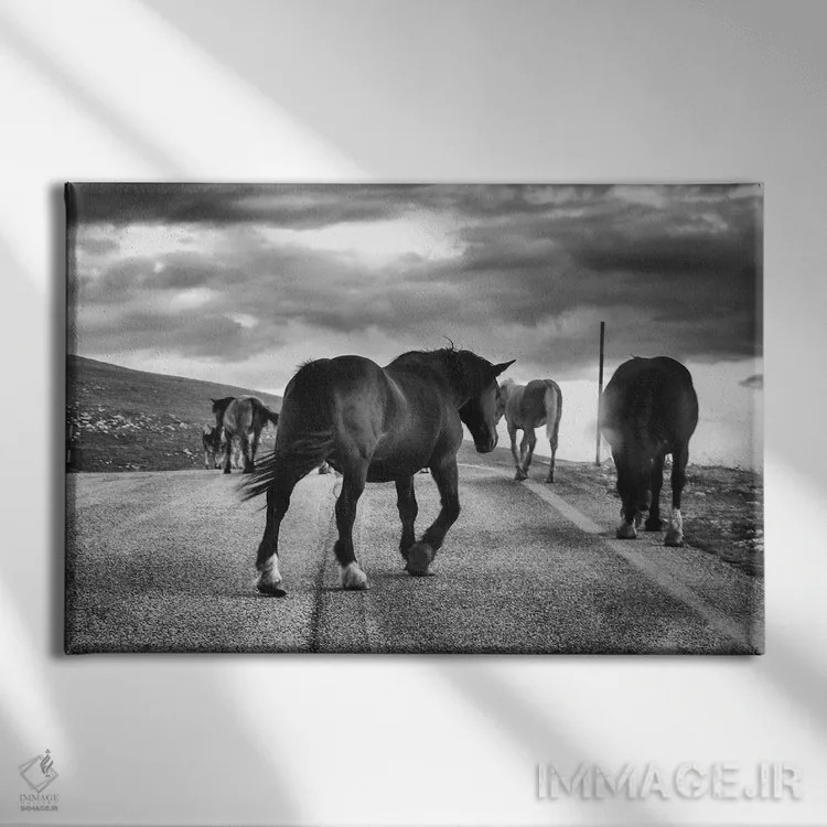 تابلو تبت کوچک IV اثر آلساندرو پاسرینی - نمای روبهرو روی دیوار