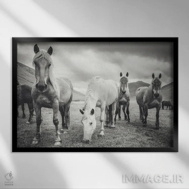 تابلو تبت کوچک VIII اثر آلساندرو پاسرینی - نمای قابدار مشکی