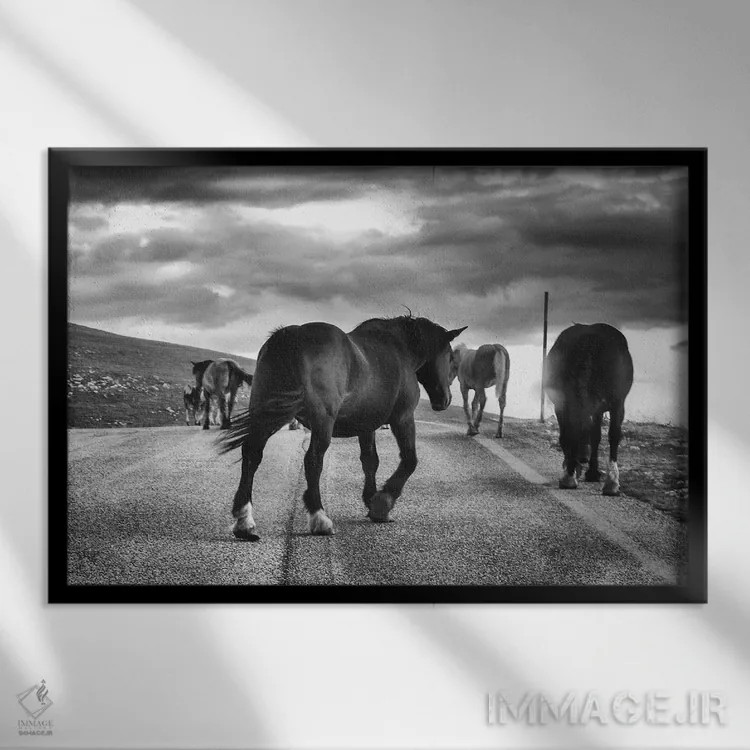 تابلو تبت کوچک IV اثر آلساندرو پاسرینی - نمای قابدار مشکی