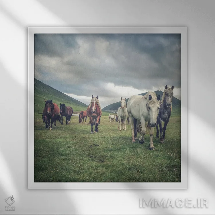 تابلو تبت کوچک VI اثر آلساندرو پاسرینی - نمای قابدار سفید