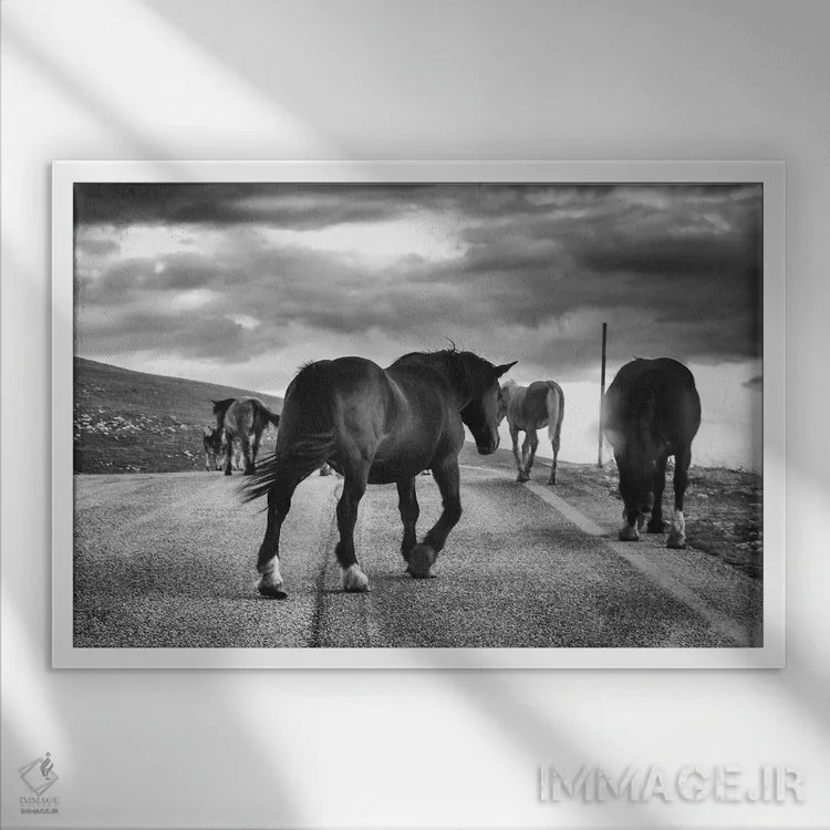 تابلو تبت کوچک IV اثر آلساندرو پاسرینی - نمای قابدار سفید