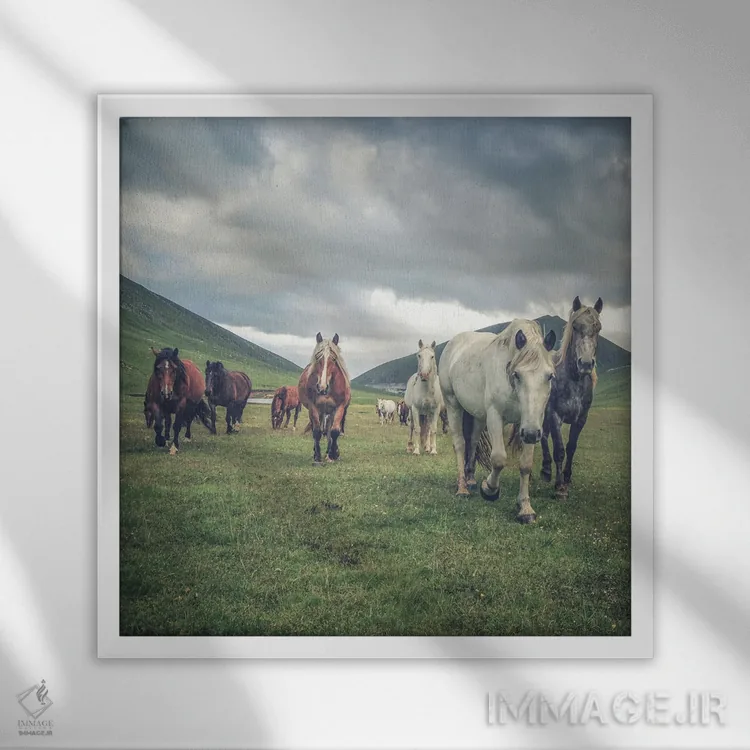 تابلو تبت کوچک V اثر آلساندرو پاسرینی - نمای قابدار سفید