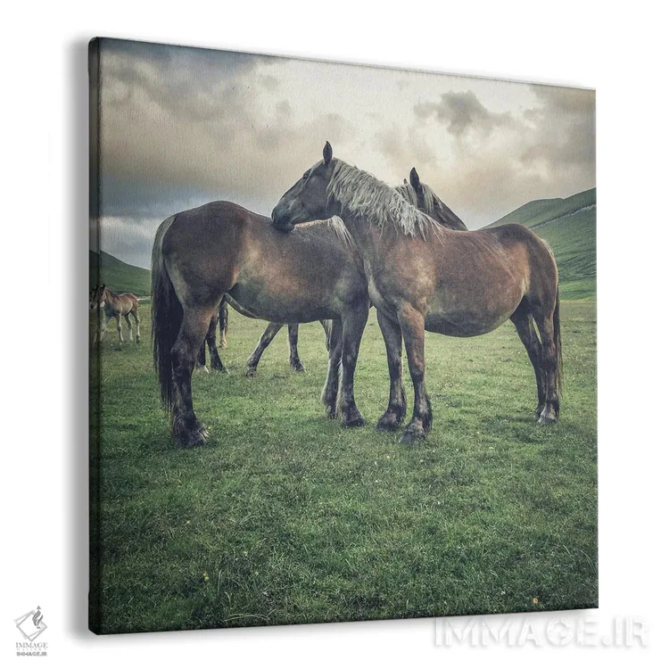 تابلو تبت کوچک IX اثر آلساندرو پاسرینی - نمای پرسپکتیو محصول