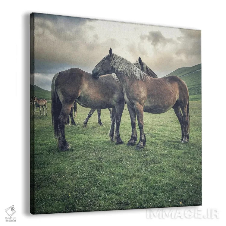 تابلو تبت کوچک IX اثر آلساندرو پاسرینی - نمای پرسپکتیو محصول