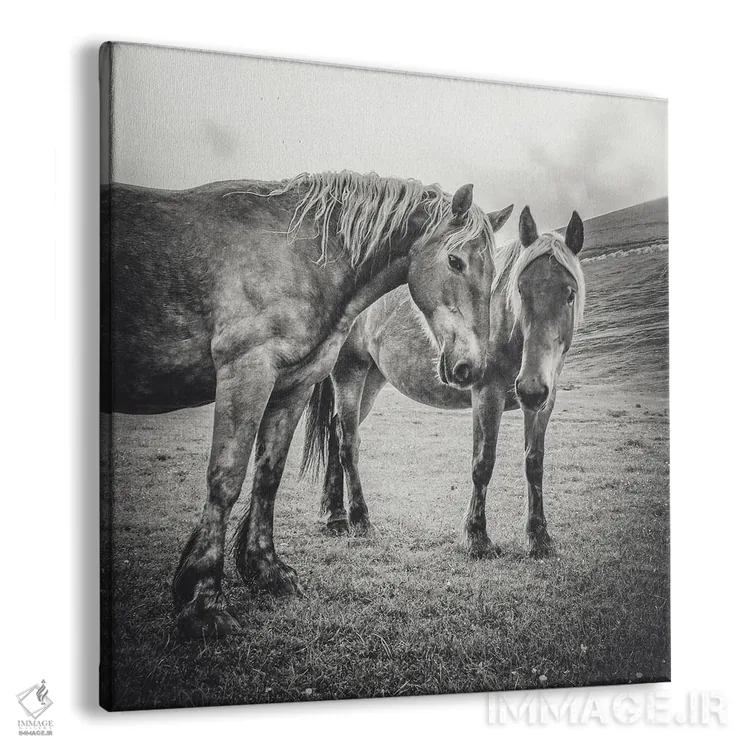 تابلو تبت کوچک XI اثر آلساندرو پاسرینی - نمای پرسپکتیو محصول