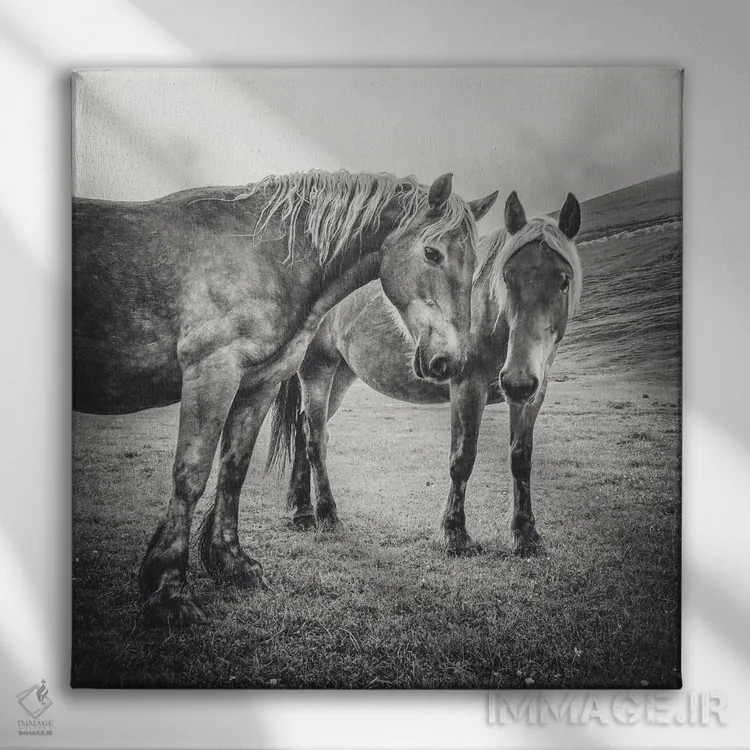 تابلو تبت کوچک XI اثر آلساندرو پاسرینی - نمای روبهرو روی دیوار