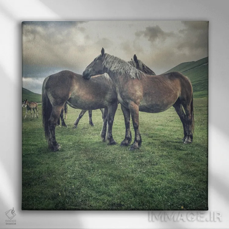 تابلو تبت کوچک IX اثر آلساندرو پاسرینی - نمای روبهرو روی دیوار