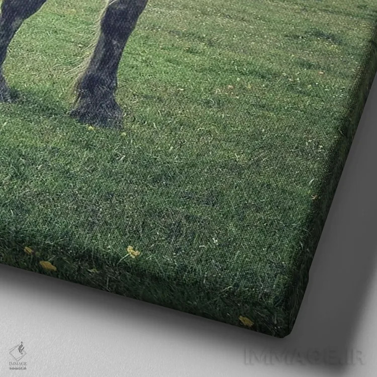 تابلو تبت کوچک X اثر آلساندرو پاسرینی - نمای نزدیک بافت بوم