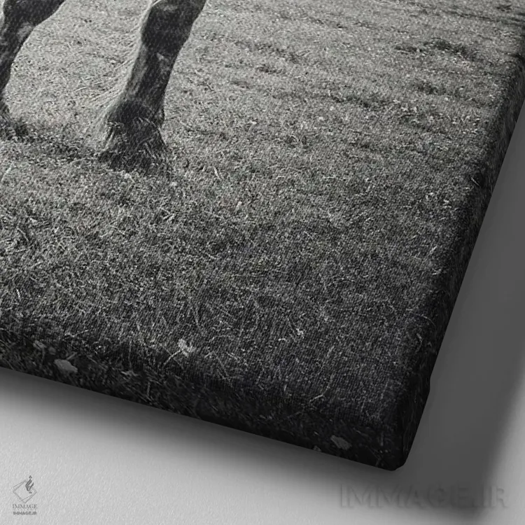 تابلو تبت کوچک XI اثر آلساندرو پاسرینی - نمای نزدیک بافت بوم