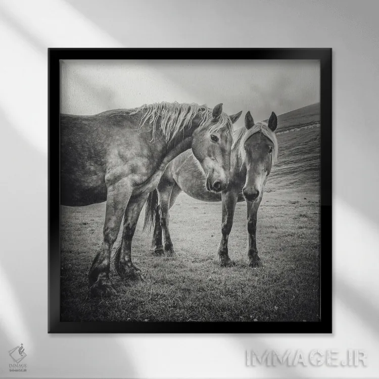 تابلو تبت کوچک XI اثر آلساندرو پاسرینی - نمای قابدار مشکی