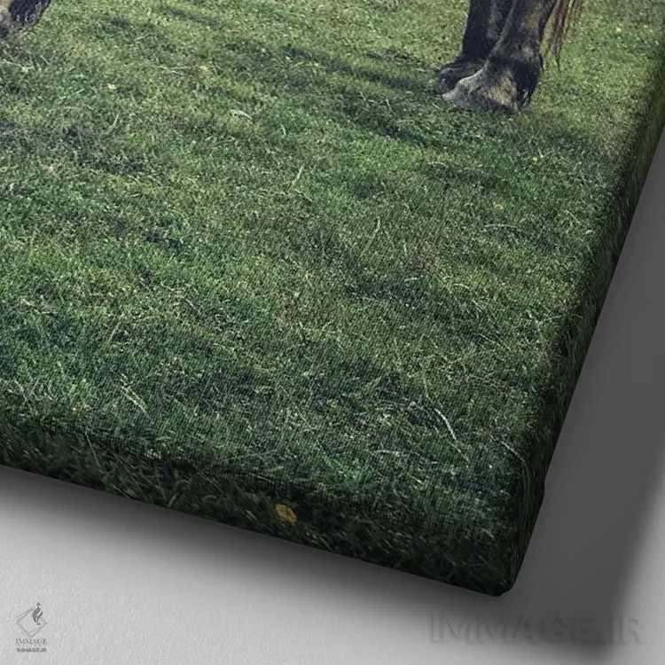 تابلو تبت کوچک IX اثر آلساندرو پاسرینی - نمای نزدیک بافت بوم