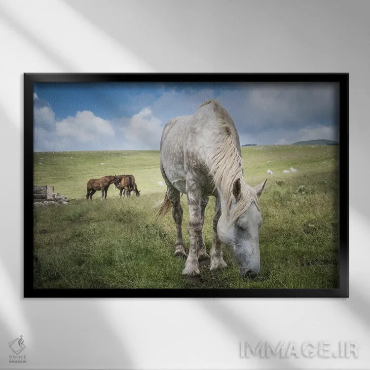 تابلو تبت کوچک XV اثر آلساندرو پاسرینی - نمای قابدار مشکی