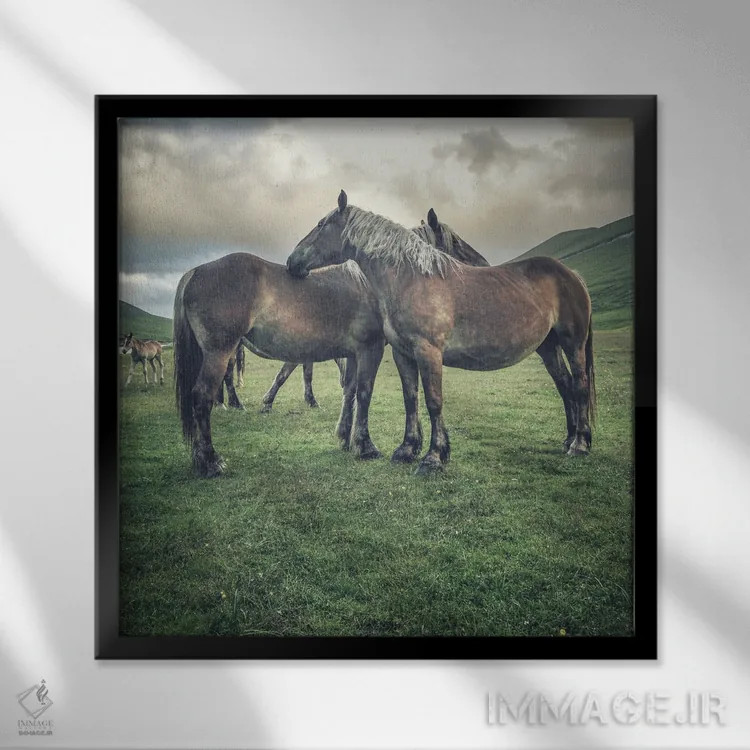 تابلو تبت کوچک IX اثر آلساندرو پاسرینی - نمای قابدار مشکی