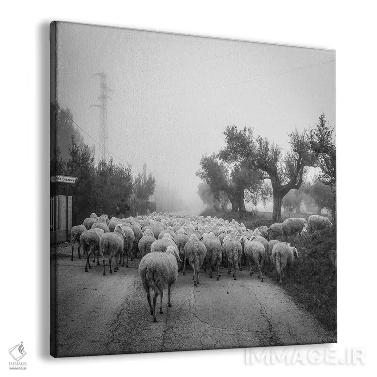 تابلو آبروتزو II (منطقهای در ایتالیا) اثر آلساندرو پاسرینی - نمای پرسپکتیو محصول