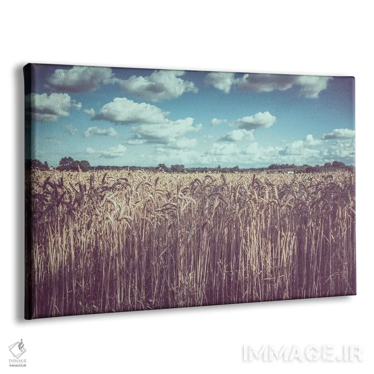 تابلو آلیس II اثر آلساندرو پاسرینی - نمای پرسپکتیو محصول