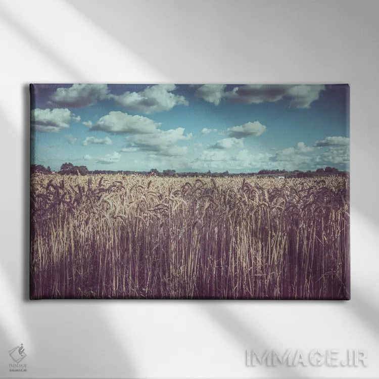 تابلو آلیس II اثر آلساندرو پاسرینی - نمای روبهرو روی دیوار