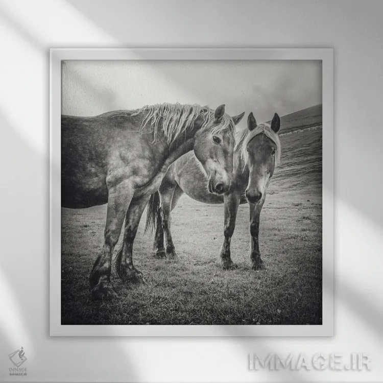 تابلو تبت کوچک XI اثر آلساندرو پاسرینی - نمای قابدار سفید