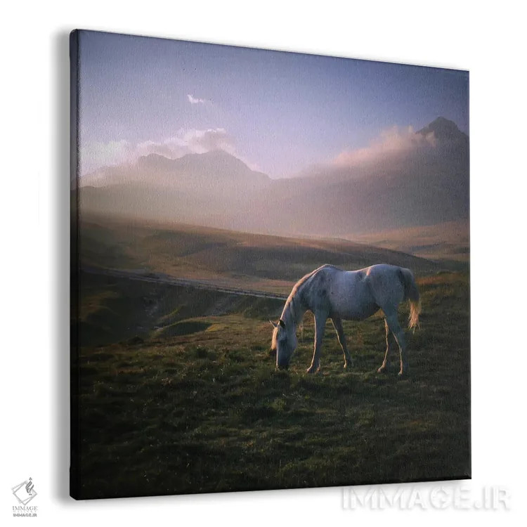 تابلو تبت کوچک XXV اثر آلساندرو پاسرینی - نمای پرسپکتیو محصول