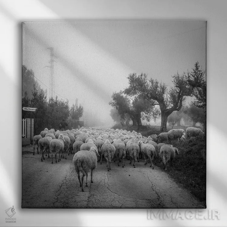 تابلو آبروتزو II (منطقهای در ایتالیا) اثر آلساندرو پاسرینی - نمای روبهرو روی دیوار