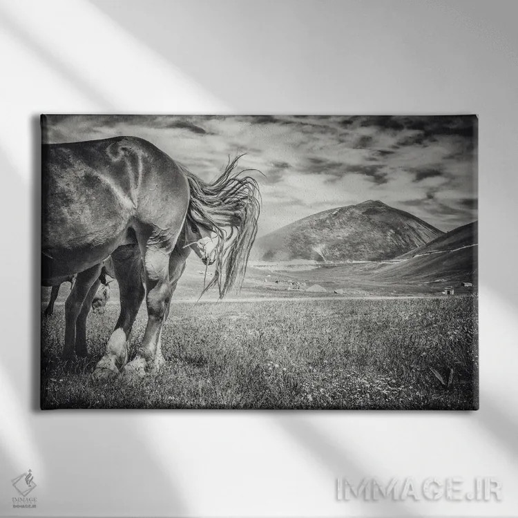 تابلو تبت کوچک XVII اثر آلساندرو پاسرینی - نمای روبهرو روی دیوار