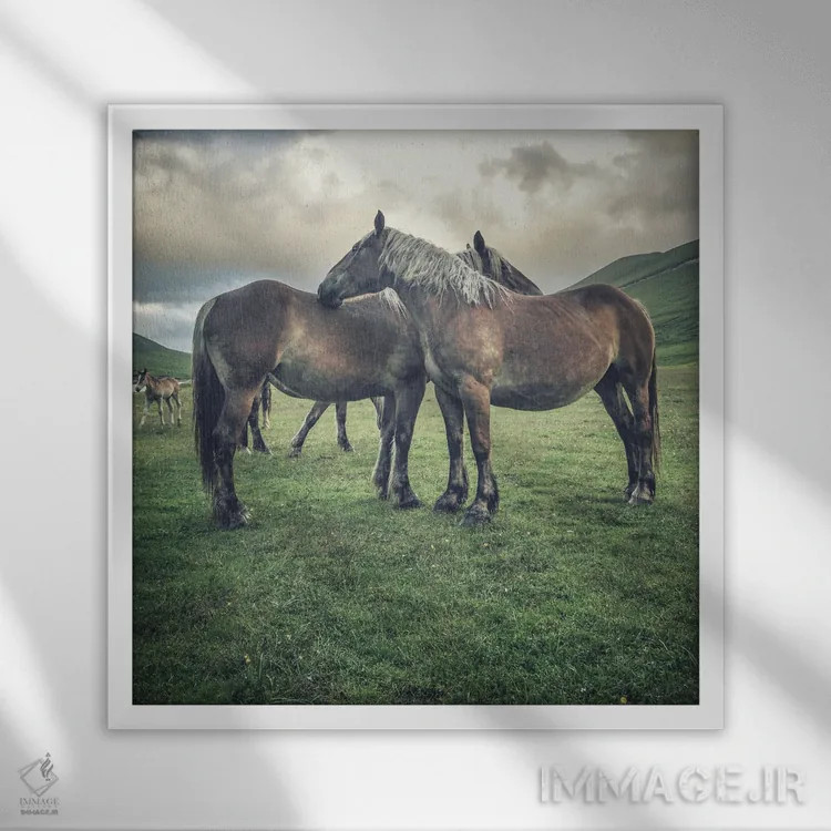 تابلو تبت کوچک IX اثر آلساندرو پاسرینی - نمای قابدار سفید