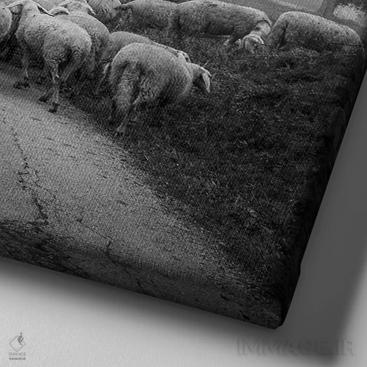 تابلو آبروتزو II (منطقهای در ایتالیا) اثر آلساندرو پاسرینی - نمای نزدیک بافت بوم