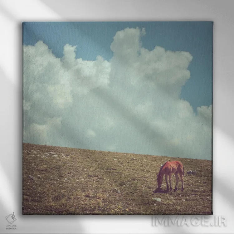 تابلو تبت کوچک XXIV اثر آلساندرو پاسرینی - نمای روبهرو روی دیوار