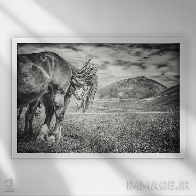 تابلو تبت کوچک XVII اثر آلساندرو پاسرینی - نمای قابدار سفید