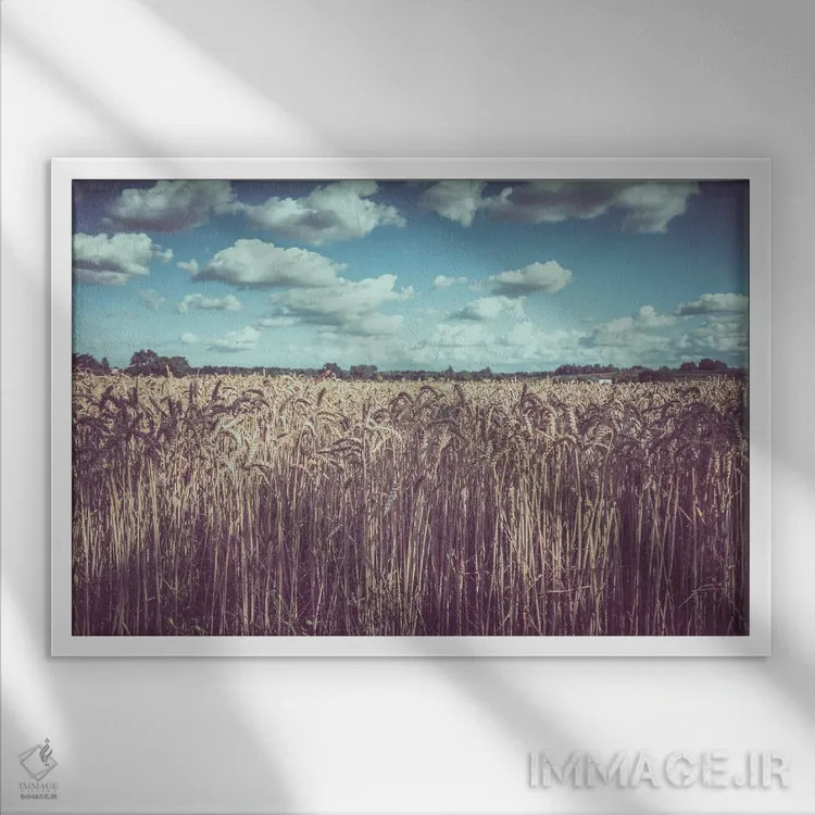 تابلو آلیس II اثر آلساندرو پاسرینی - نمای قابدار سفید