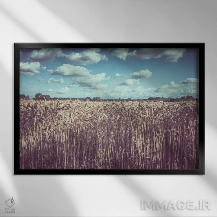 تابلو آلیس II اثر آلساندرو پاسرینی - نمای قابدار مشکی