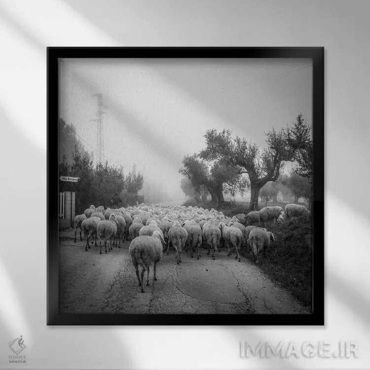 تابلو آبروتزو II (منطقهای در ایتالیا) اثر آلساندرو پاسرینی - نمای قابدار مشکی