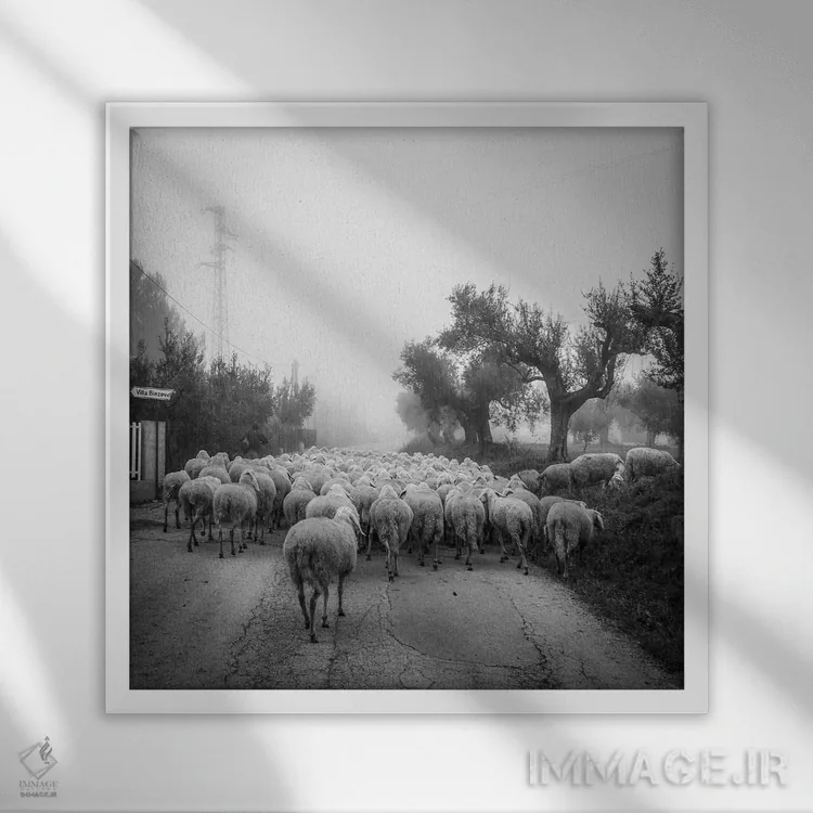 تابلو آبروتزو II (منطقهای در ایتالیا) اثر آلساندرو پاسرینی - نمای قابدار سفید