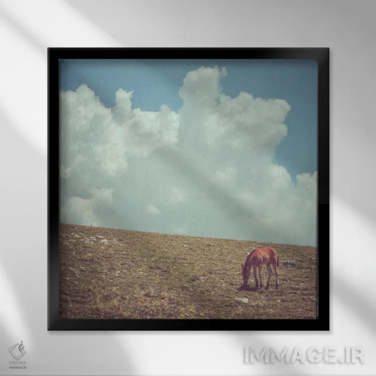 تابلو تبت کوچک XXIV اثر آلساندرو پاسرینی - نمای قابدار مشکی