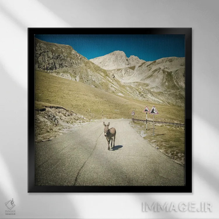 تابلو تبت کوچک XXI اثر آلساندرو پاسرینی - نمای قابدار مشکی