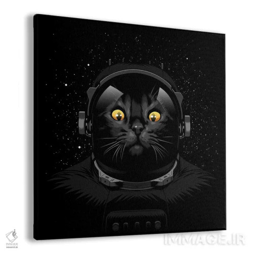 تابلو گربه فضانورد اثر آلبرتو پرز - نمای پرسپکتیو محصول