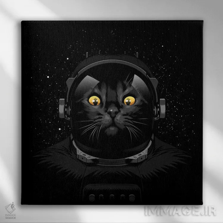 تابلو گربه فضانورد اثر آلبرتو پرز - نمای روبهرو روی دیوار