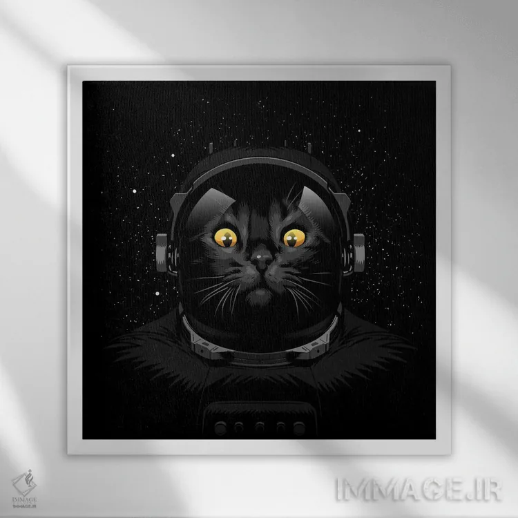 تابلو گربه فضانورد اثر آلبرتو پرز - نمای قابدار سفید