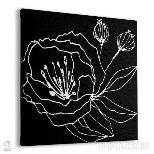 تابلو گرا مشکی اثر آرت میرانو - نمای پرسپکتیو محصول