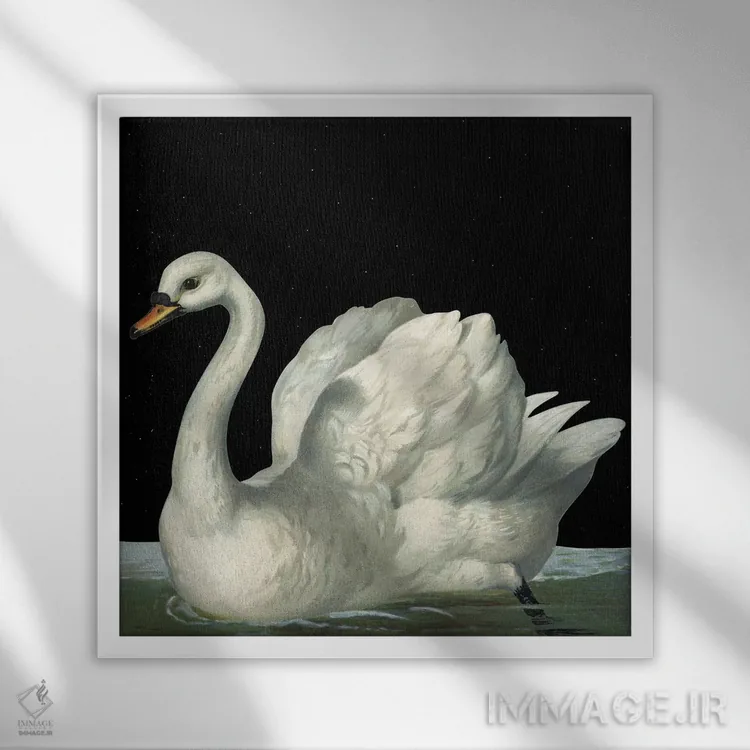 تابلو قو در شب اثر آرت میرانو - نمای قابدار سفید