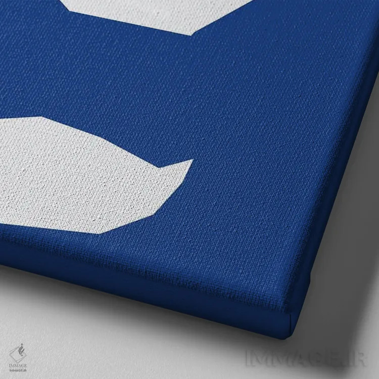 تابلو غازها روی آب اثر آرت میرانو - نمای نزدیک بافت بوم