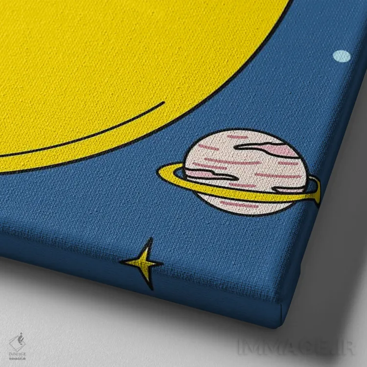 تابلو خرس کوآلا در فضا اثر آرت میرانو - نمای نزدیک بافت بوم