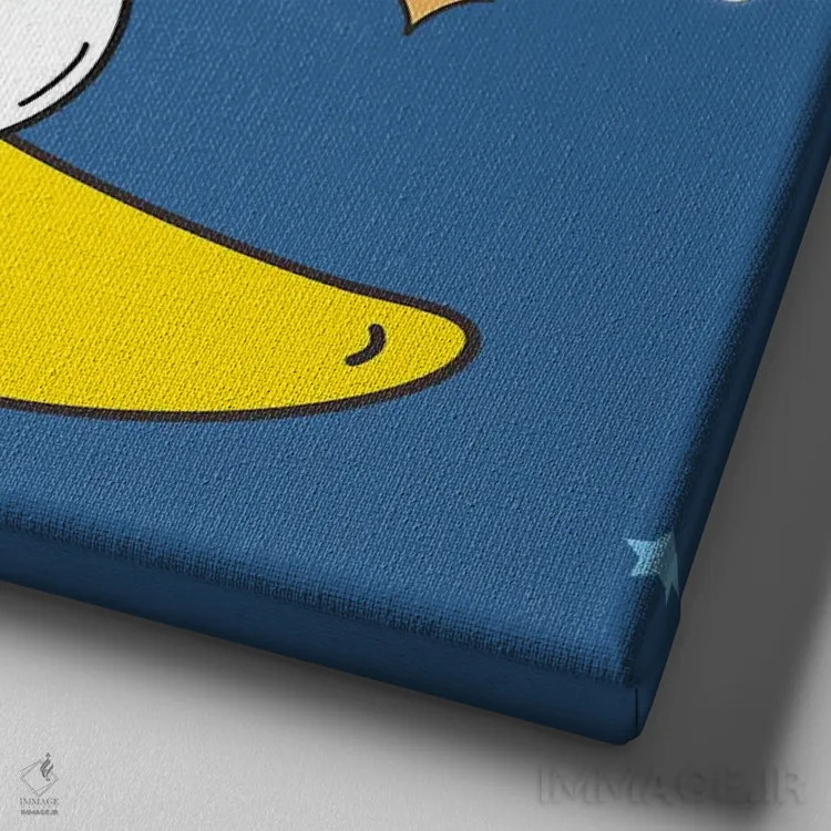 تابلو کسلکَس (تنبل) در فضا ۳ اثر آرت میرانو - نمای نزدیک بافت بوم