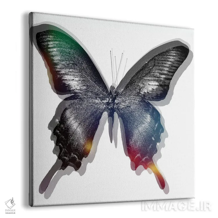 تابلو پروانه ۲ اثر آرت میرانو - نمای پرسپکتیو محصول