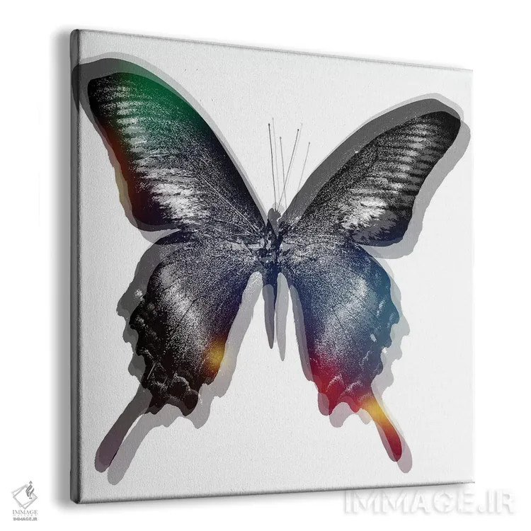 تابلو پروانه ۲ اثر آرت میرانو - نمای پرسپکتیو محصول